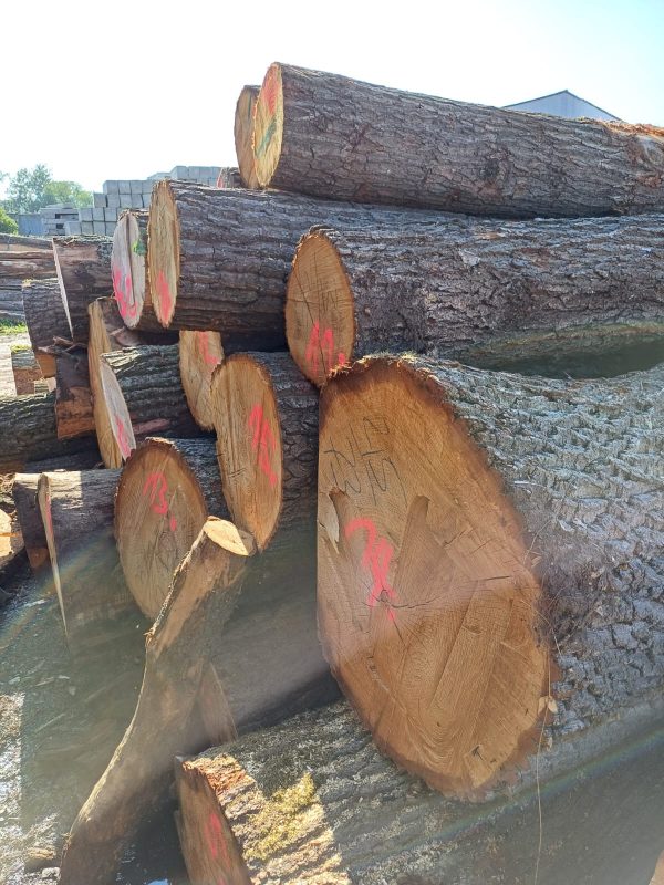 ROUND OAK WOOD WITH BARK 