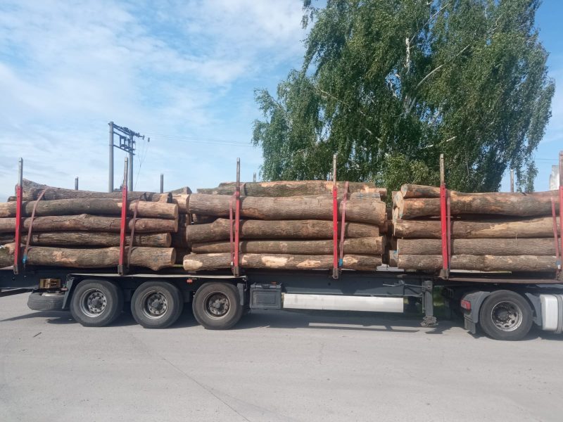 ROUND ASH WOOD WITH BARK