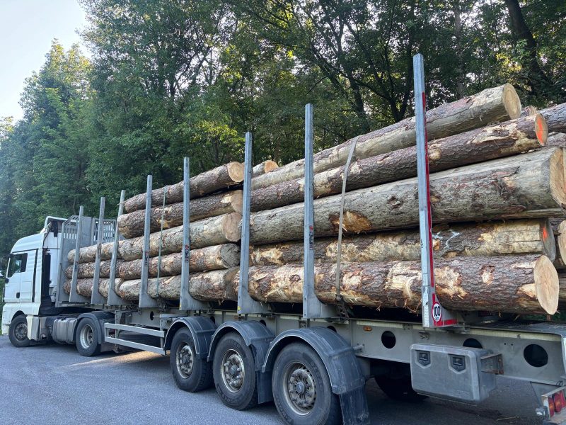 ROUND PINEWOOD WITH BARK 