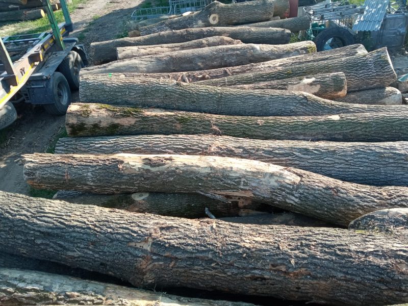 ROUND ASH WOOD WITH BARK 