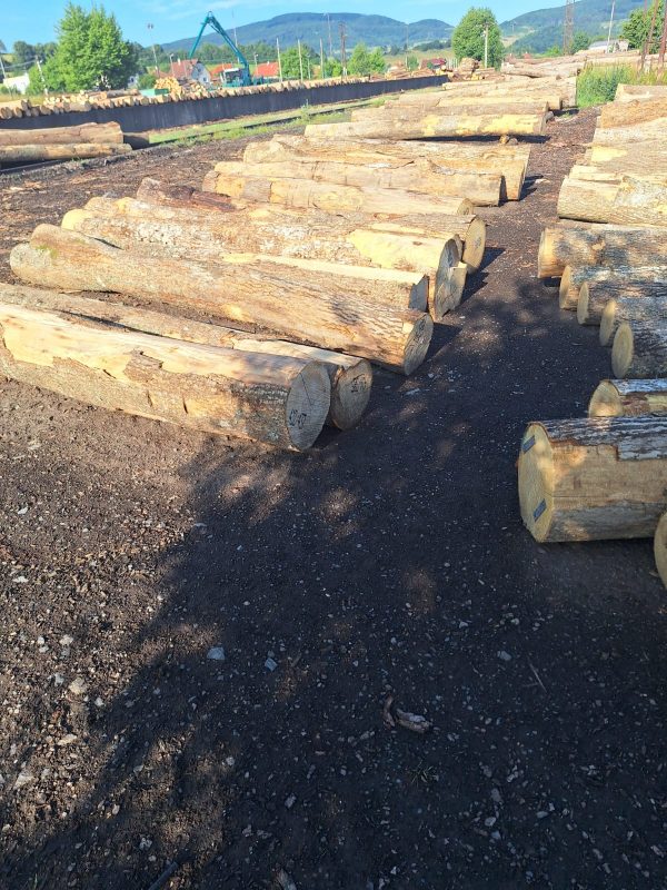ROUND ASH WOOD WITH BARK 