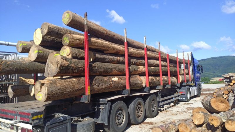 ROUND ASH WOOD WITH BARK 