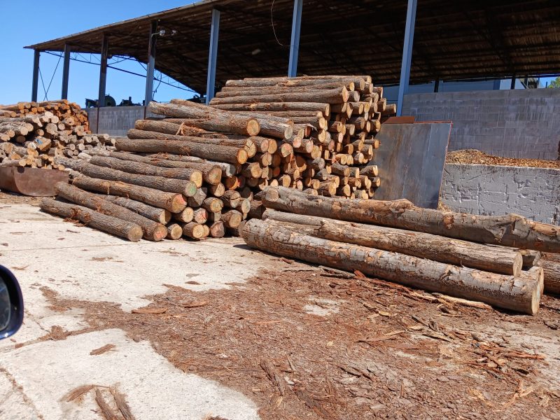 ROUND OAK WOOD WITH BARK 