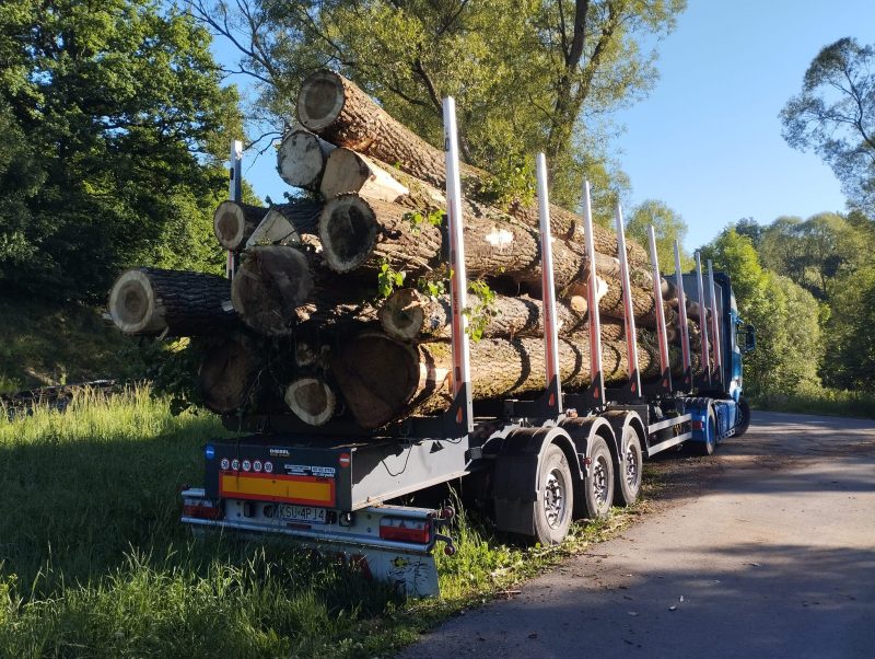 POPLAR LOGS 