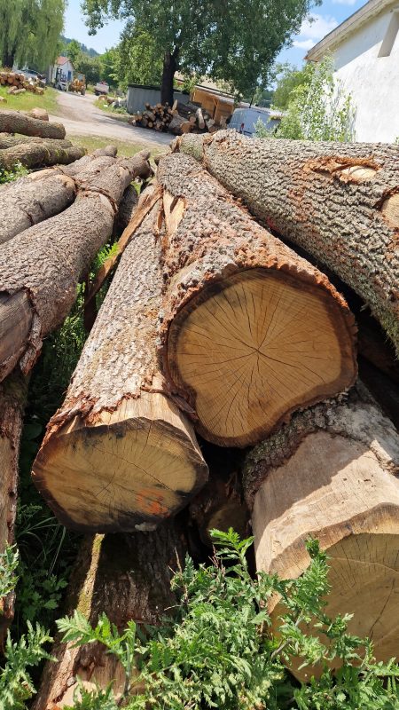ROUND OAK WOOD WITH BARK 