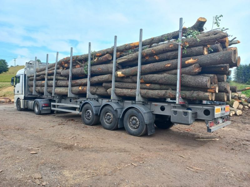 ROUND ALDER WOOD WITH BARK 