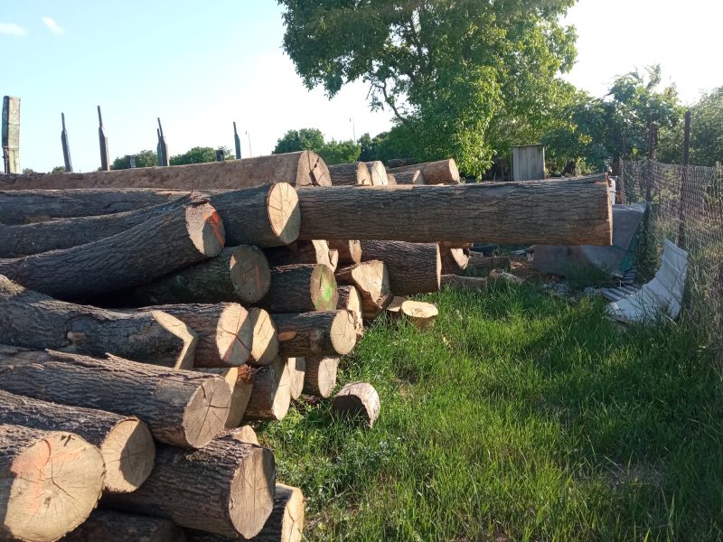 ROUND ASH WOOD WITH BARK 