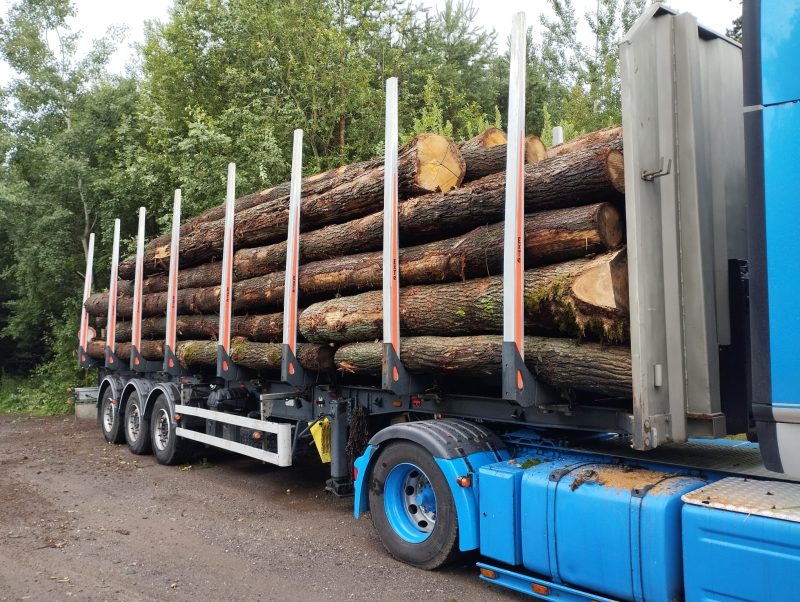 ROUND OAK WOOD WITH BARK 