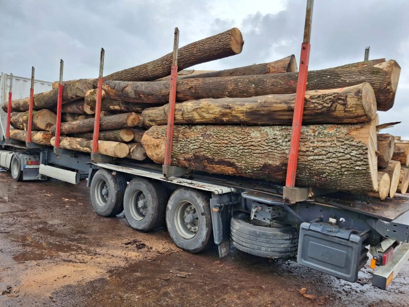 ROUND ASH WOOD WITH BARK