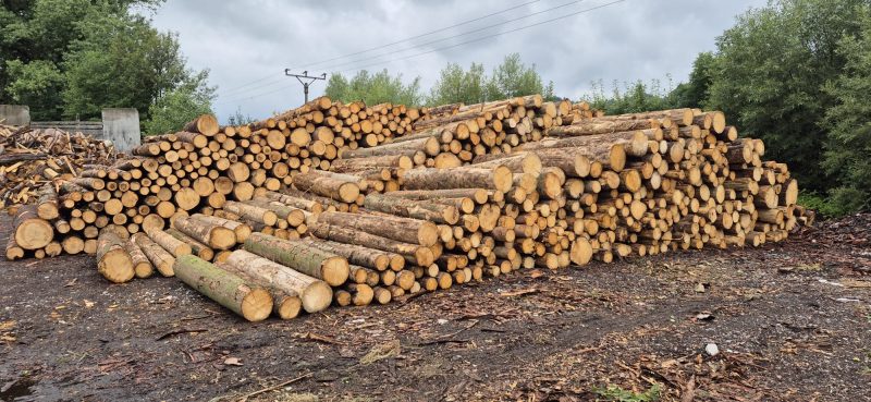 PALLET WOOD