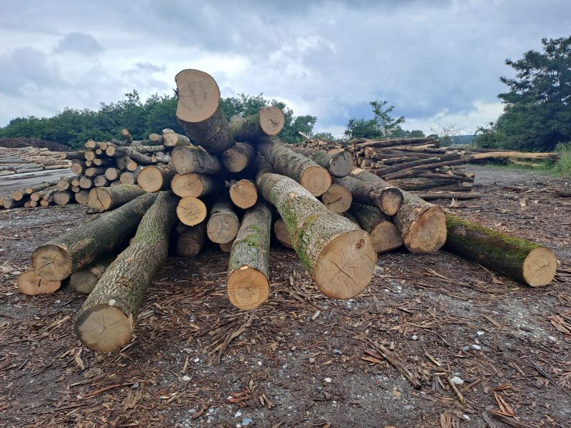 ROUND ASH WOOD WITH BARK