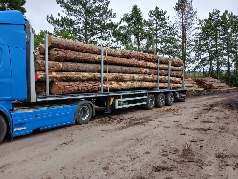ROUND PINEWOOD WITH BARK