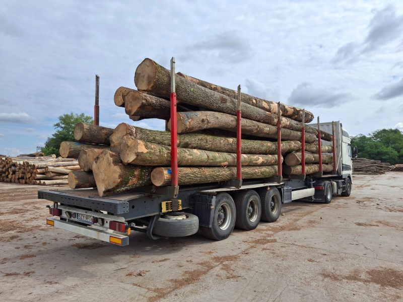 ROUND ASH WOOD WITH BARK