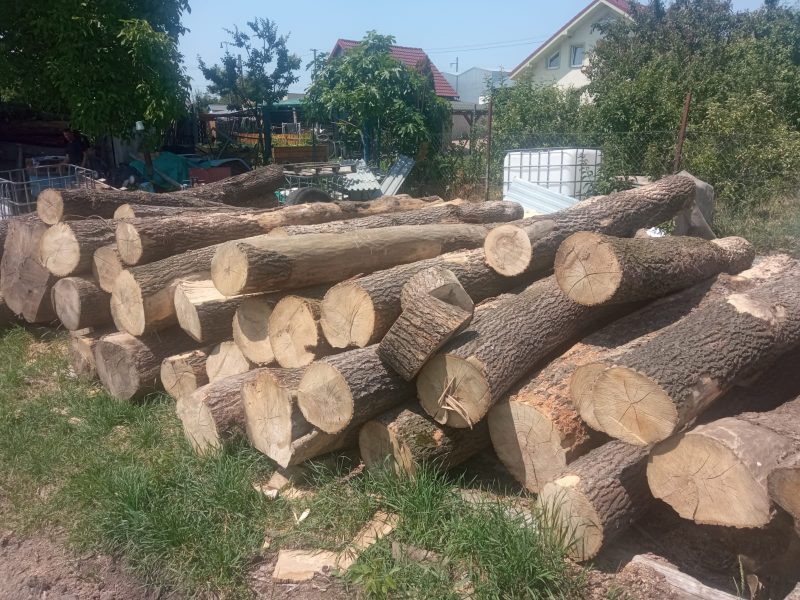 ROUND ASH WOOD WITH BARK 