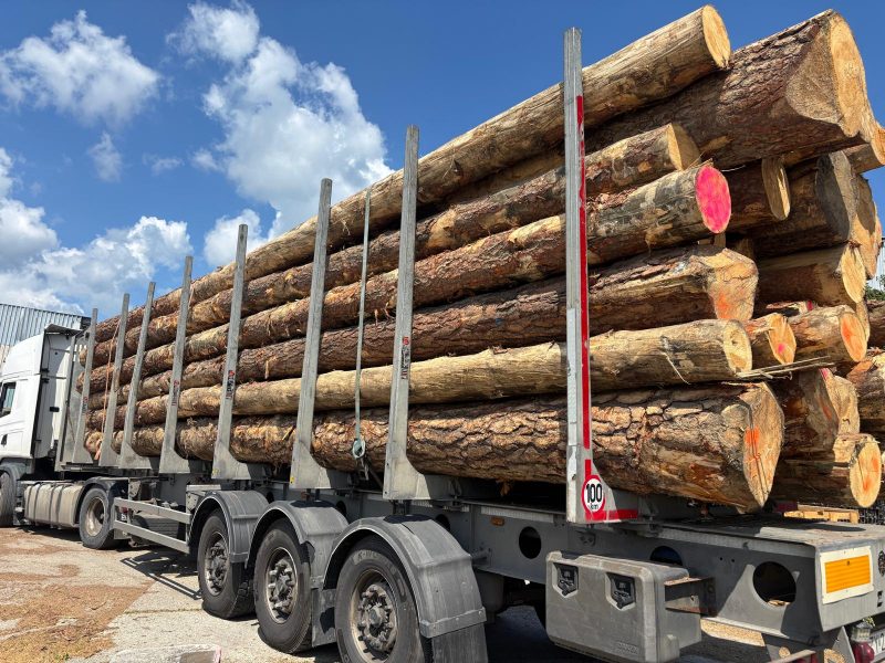 ROUND PINEWOOD WITH BARK