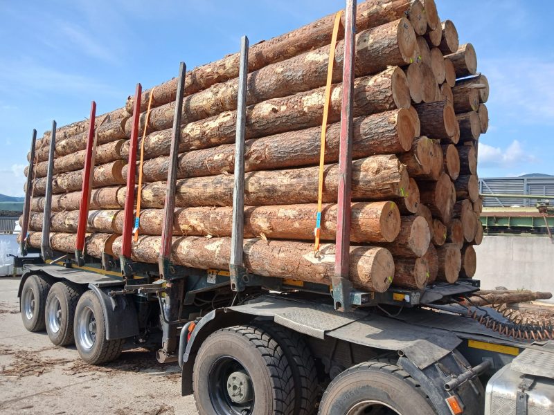 ROUND PINEWOOD WITH BARK 