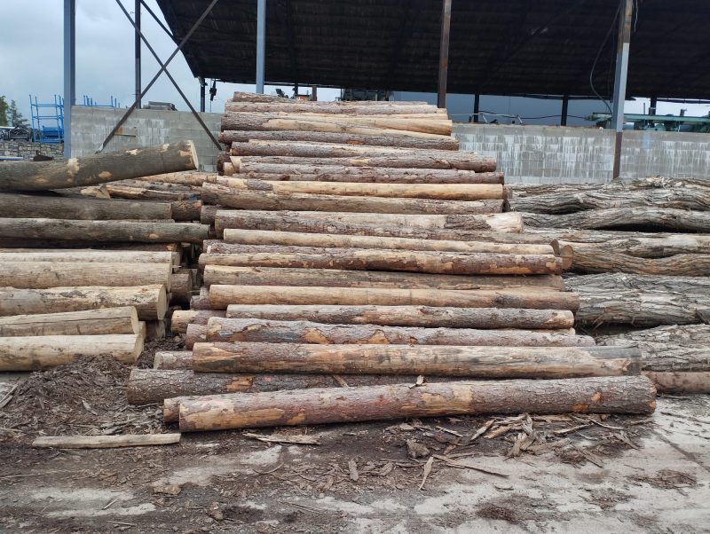 LARCH WOOD ROUND WITH BARK