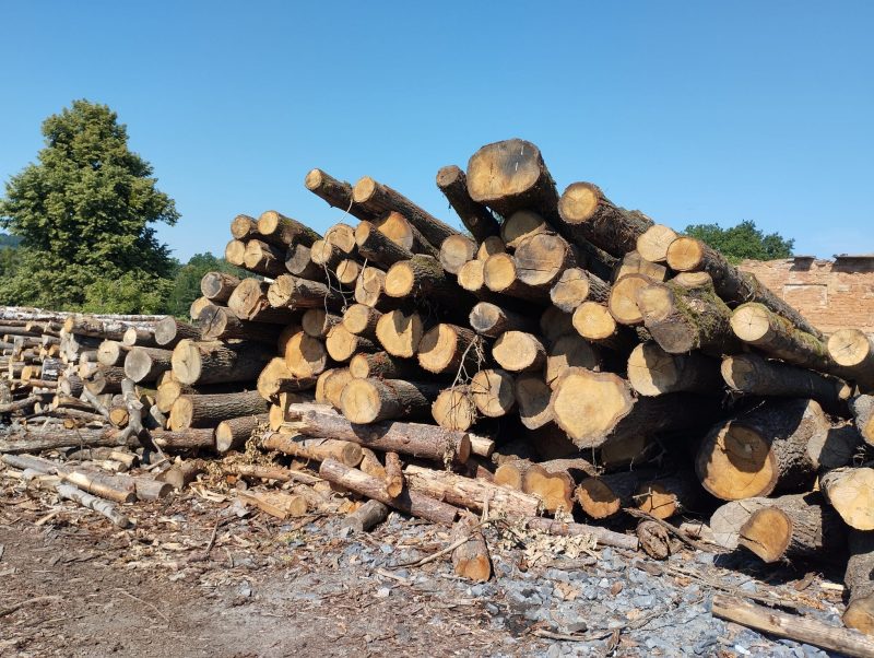 ROUND OAK WOOD WITH BARK