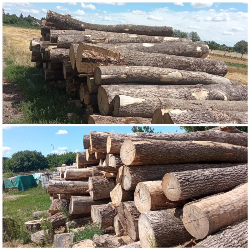 ROUND ASH WOOD WITH BARK