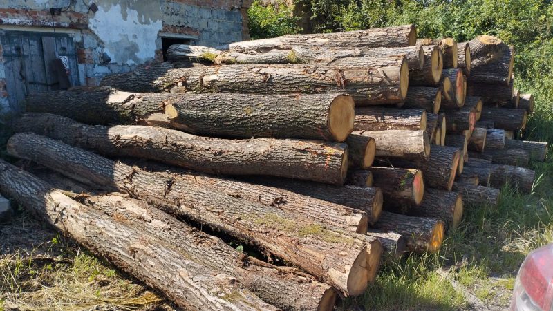 ROUND OAK WOOD WITH BARK
