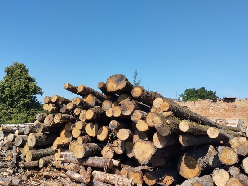 ROUND OAK WOOD WITH BARK