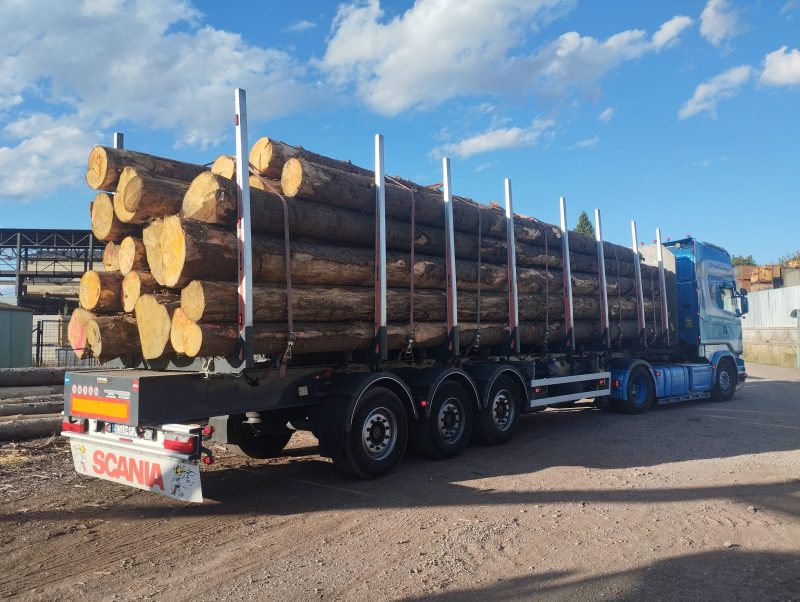 ROUND SPRUCEWOOD WITH BARK