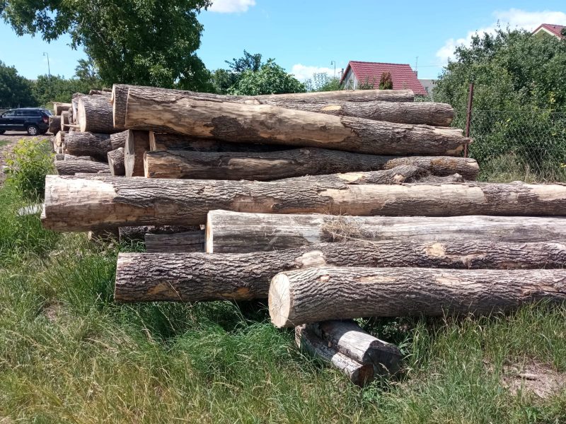 ROUND ASH WOOD WITH BARK