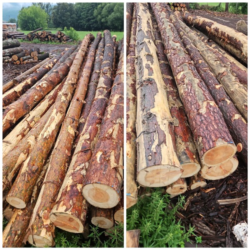 ROUND PINEWOOD WITH BARK 
