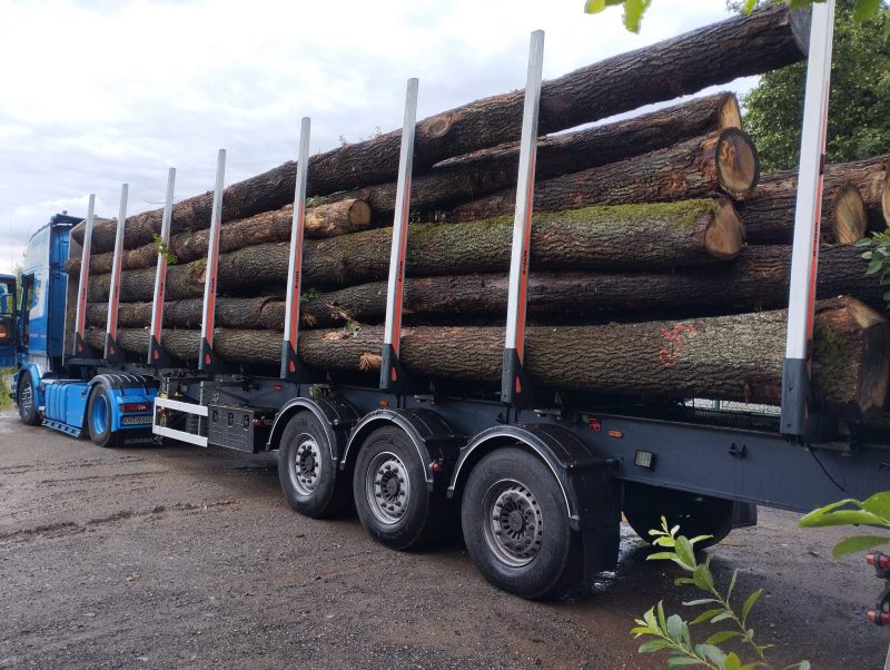 ROUND OAK WOOD WITH BARK