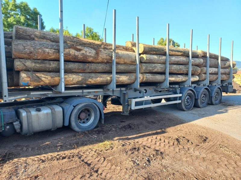 ROUND ASH WOOD WITH BARK 