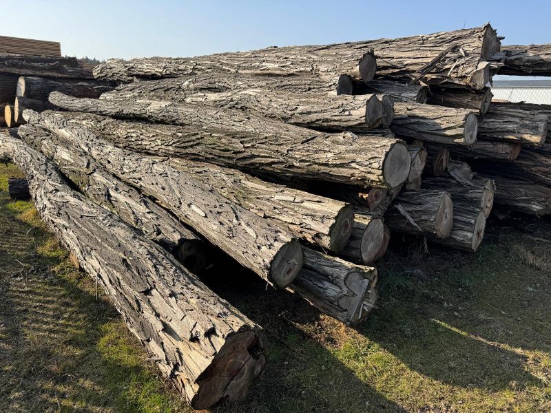 ACACIA LOGS 