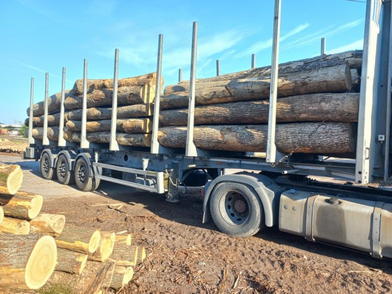 ROUND ASH WOOD WITH BARK 