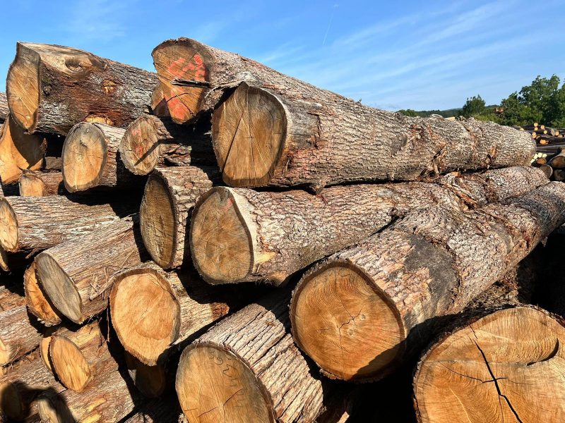ROUND OAK WOOD WITH BARK