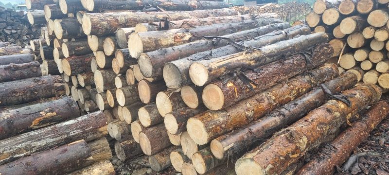 PALLET WOOD