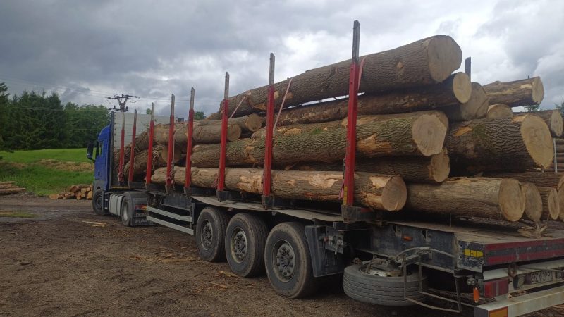 ROUND ASH WOOD WITH BARK