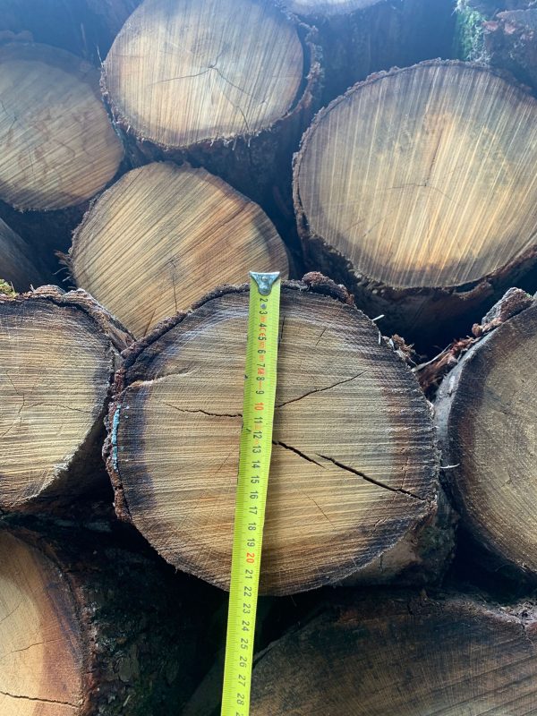 ROUND OAK WOOD WITH BARK 