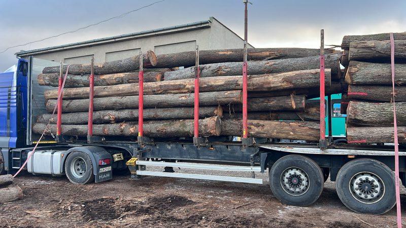 ROUND OAK WOOD WITH BARK 