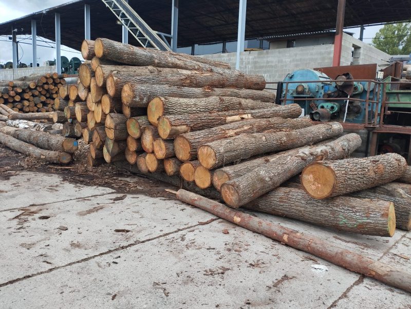 ROUND OAK WOOD WITH BARK 