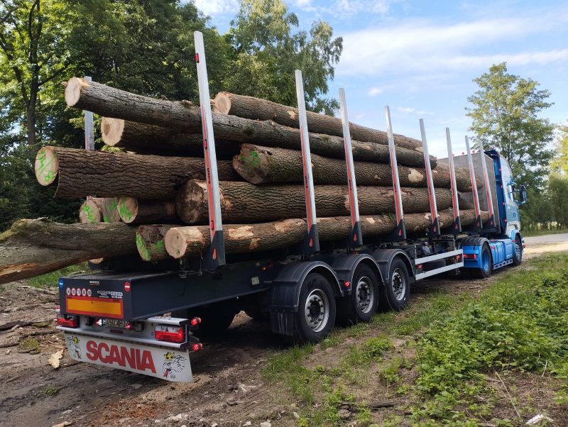 ROUND ASH WOOD WITH BARK