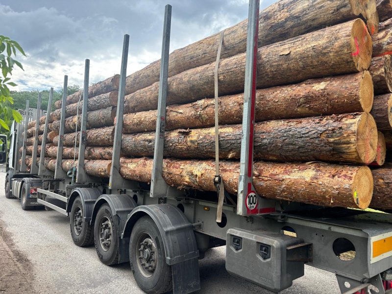 ROUND PINEWOOD WITH BARK