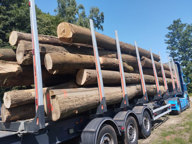ROUND ASH WOOD WITH BARK