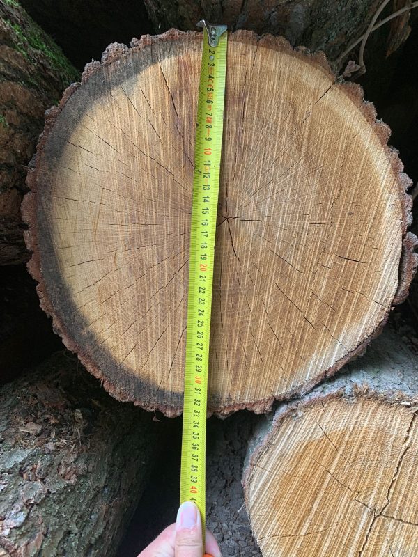 ROUND OAK WOOD WITH BARK 