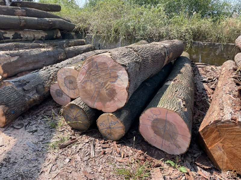 ROUND ASH WOOD WITH BARK 