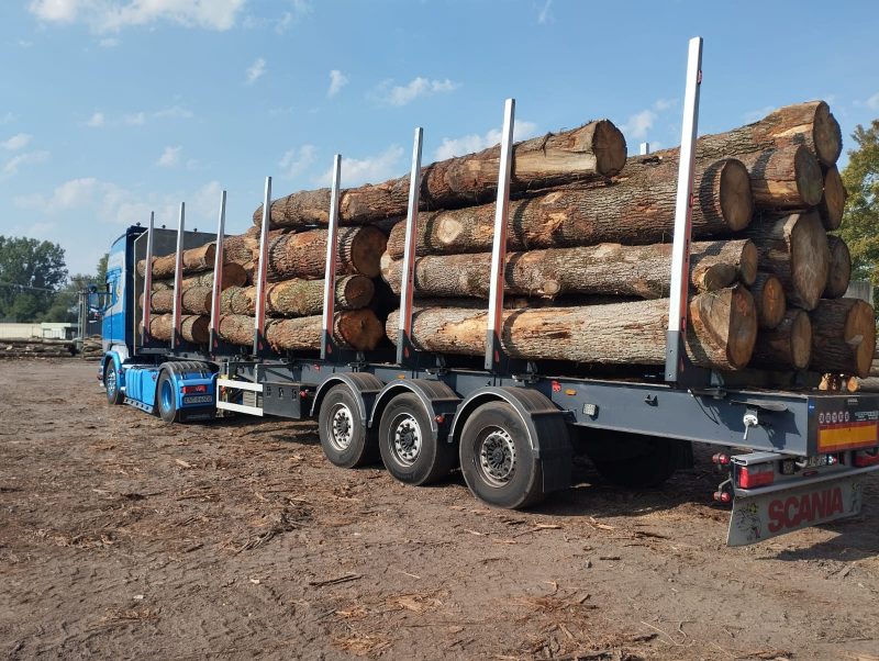 ROUND OAK WOOD WITH BARK 