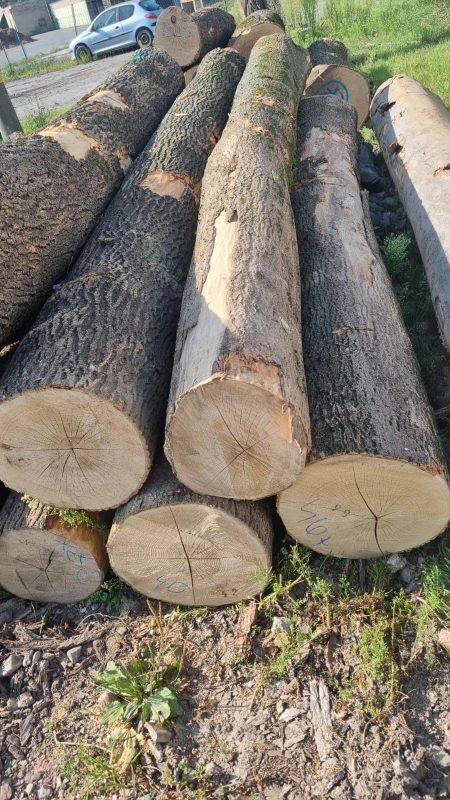 ROUND ASH WOOD WITH BARK 