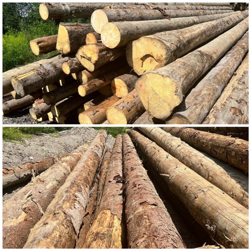 ROUND SPRUCEWOOD WITH BARK 
