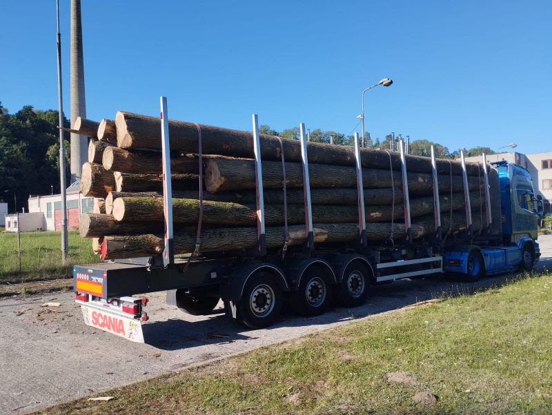 ROUND ASH WOOD WITH BARK 