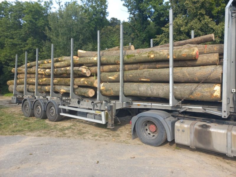 ROUND ASH WOOD WITH BARK 
