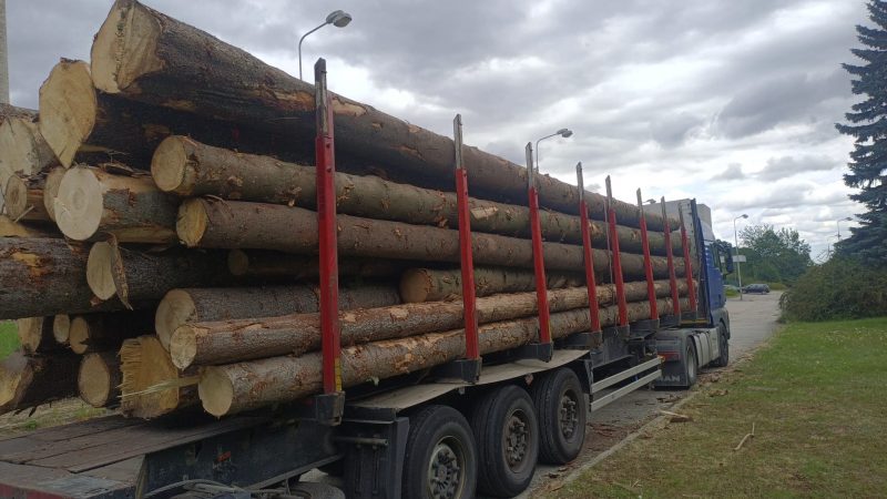 ROUND SPRUCEWOOD WITH BARK 