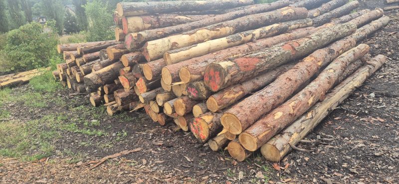 PALLET WOOD 